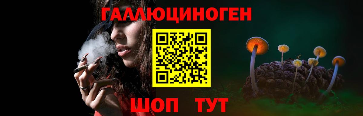 Галлюциногенные грибы прущие грибы  Вход с VPN  Галлюциногенные грибы мицелий  Новочеркасск 